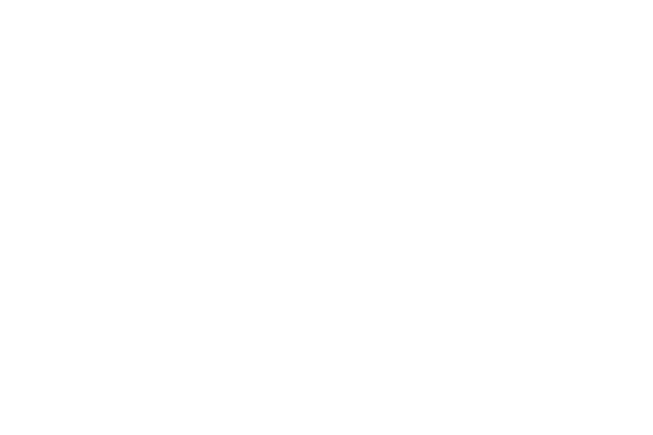 Wood Boykin Wolter PC Logo